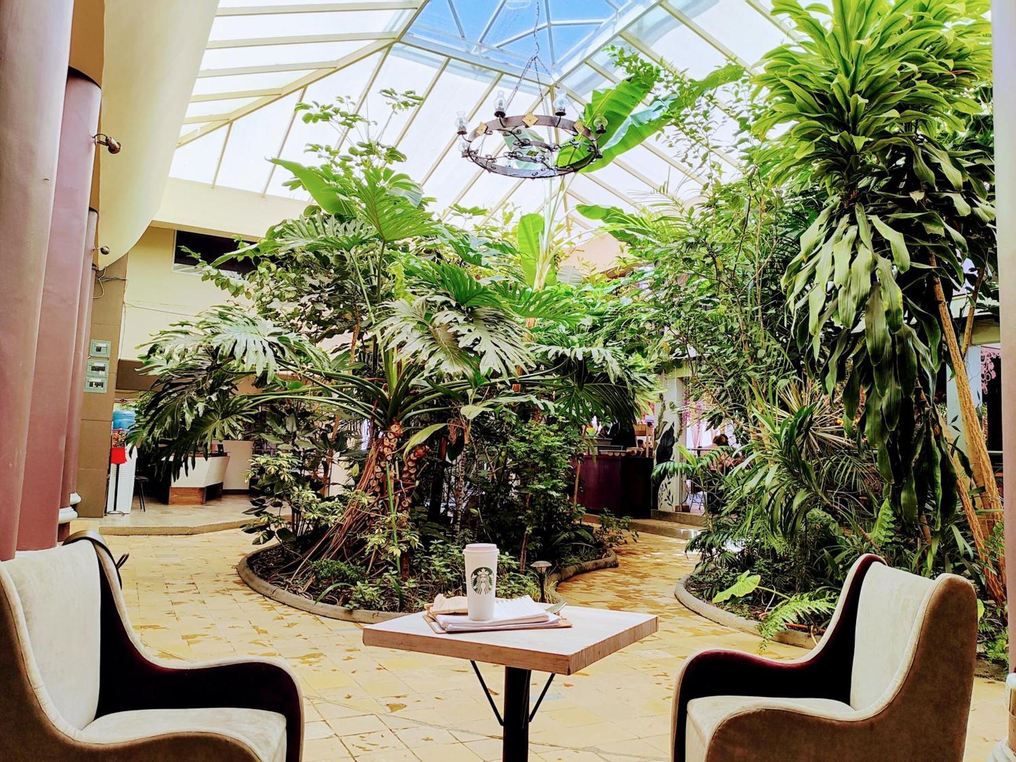 Hotel Jardines Del Centro San Cristóbal de Las Casas Exteriér fotografie